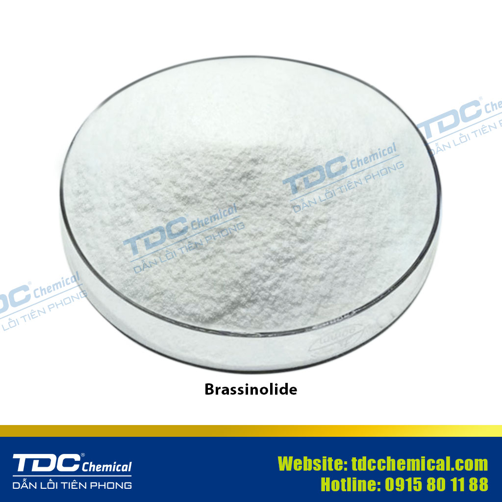 (+)-Abscisic Acid (S-ABA) ≥ 98%