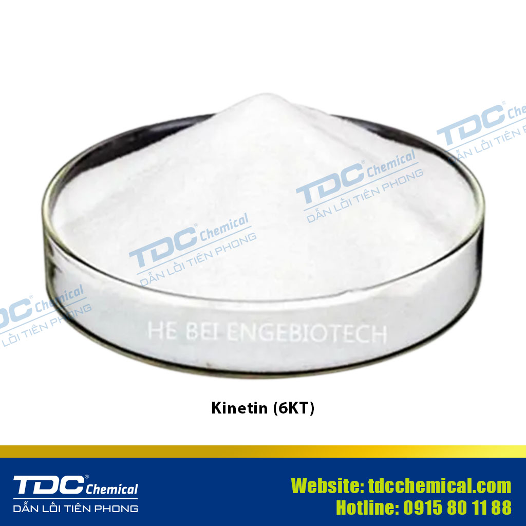 Kinetin (6-Furfurylaminopurine)